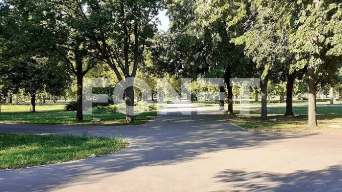Neće biti masovne seče drveća